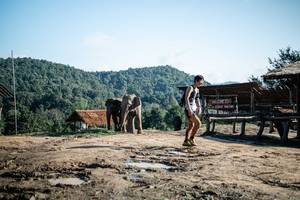 BIB: 
                            <button type="button" onclick="openModal(22422901)" class="btn btn-primary btn-sm float-right btn-popup" data-toggle="modal" data-target=".modal-high-quality">
                        <i class="fas fa-shopping-cart"></i> Add to Cart
                    </button>
                                            <button type="button" onclick="isThisMe(22422901, true)" class="btn btn-success btn-sm float-right btn-popup btn-isme hidden" data-toggle="tooltip" data-placement="bottom" title="นี่คือรูปของคุณใช่ไหม คลิกที่นี่เพื่อเอาเข้าอัลบั้ม">
                        <i class="fas fa-plus"></i> Add to album
                    </button>
                    <button type="button" onclick="isThisMe(22422901, false)" class="btn btn-warning btn-sm float-right btn-popup btn-isnotme hidden">
                        <i class="fas fa-ban"></i> Remove from album
                    </button>